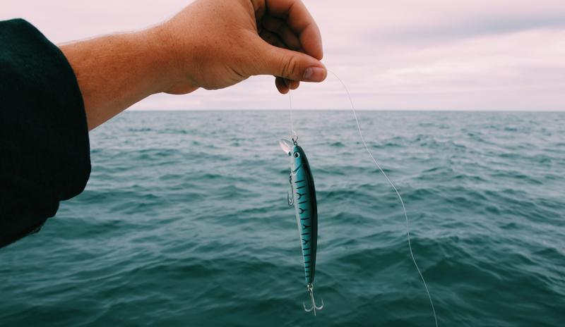 Bitrix 114577: pexels_ma_l_balland_3098597.jpg