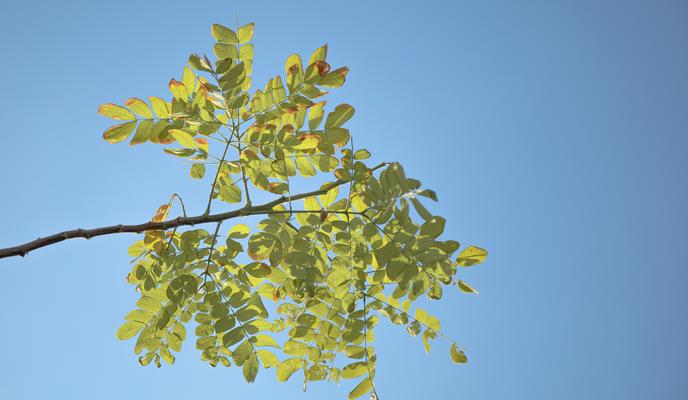 Bitrix 113550: pexels_maahid_photos_4098872.jpg