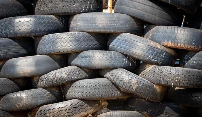 Bitrix 110554: pexels_magda_ehlers_1301410.jpg