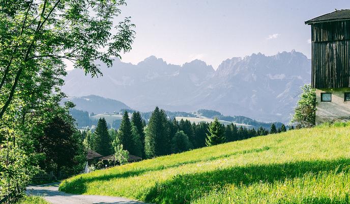 Bitrix 118230: pexels_maria_orlova_4946727.jpg