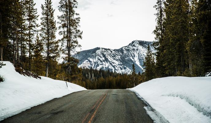 Bitrix 143162: pexels_nathan_moore_2517098.jpg