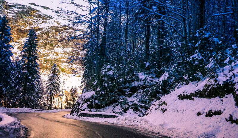 Bitrix 114637: pexels_nikita_khandelwal_944661.jpg