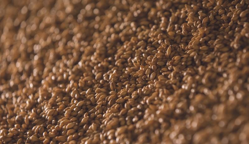 Bitrix 104595: pexels_north_1296262.jpg