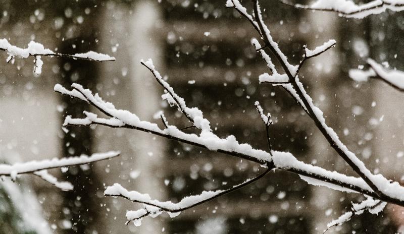 Bitrix 110961: pexels_oleg_magni_1866711.jpg