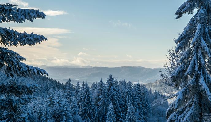 Bitrix 129403: pexels_photomix_company_94842.jpg