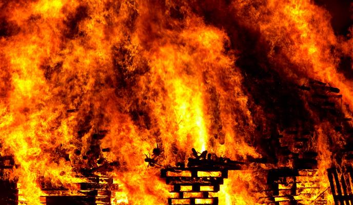 Bitrix 104878: pexels_pixabay_57461.jpg