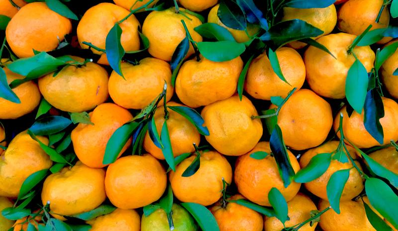 Bitrix 111611: pexels_rog_rio_martins_2495220.jpg
