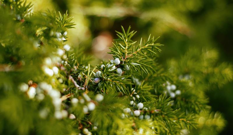 Bitrix 169379: pexels_roman_odintsov_5667093.jpg
