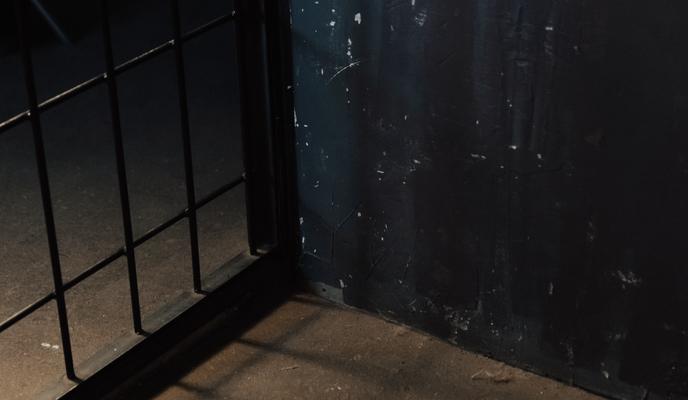 Bitrix 115328: pexels_ron_lach_10473675.jpg