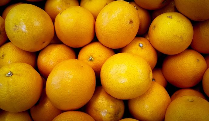 Bitrix 108822: pexels_rp_photography_693795.jpg