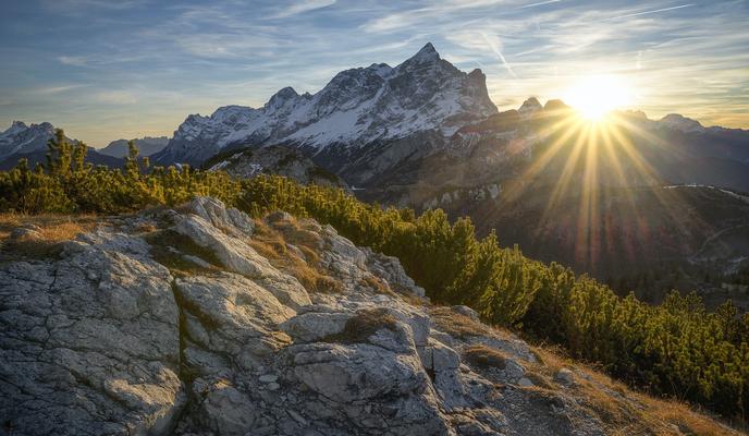 Bitrix 131788: pexels_sagui_andrea_618833.jpg