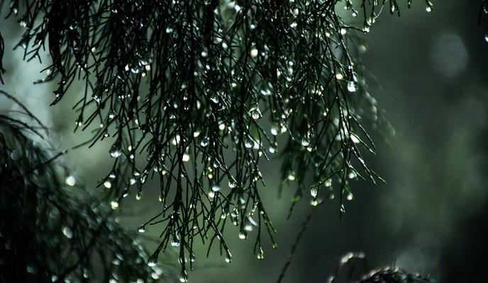 Bitrix 112201: pexels_sitthan_kutty_913807.jpg