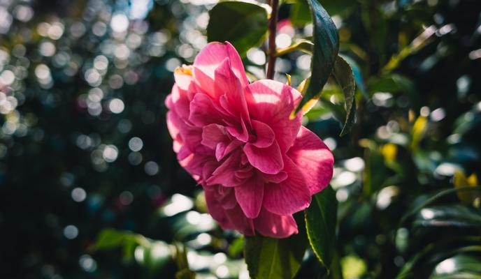 Bitrix 110420: pexels_sonny_sixteen_10014986.jpg