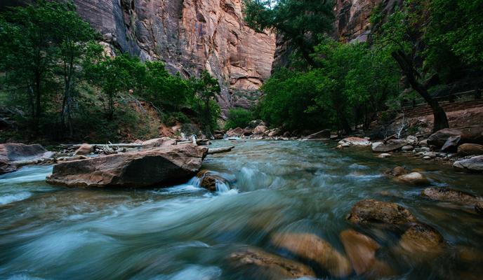 Bitrix 117517: pexels_taras_makarenko_593185.jpg