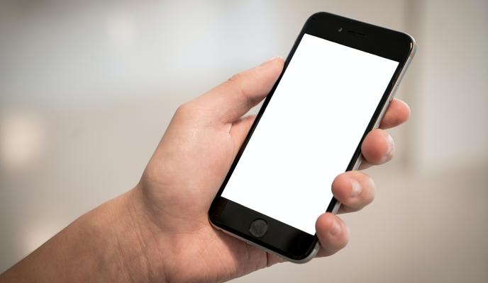 Bitrix 113636: pexels_terje_sollie_336948.jpg