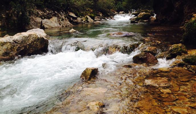 Bitrix 117506: pexels_youssef_hb_333826.jpg