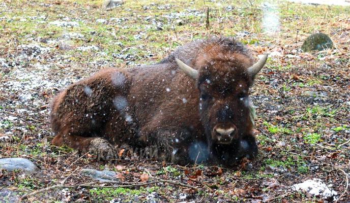 Bitrix 115123: photo1646816680_0.jpeg