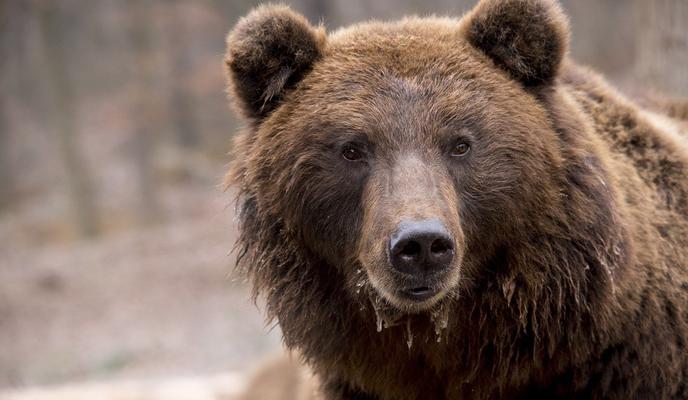 Bitrix 137855: photo1691072470.jpeg