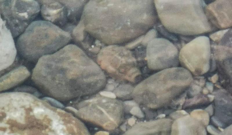 Bitrix 138369: photo1691999118.jpeg