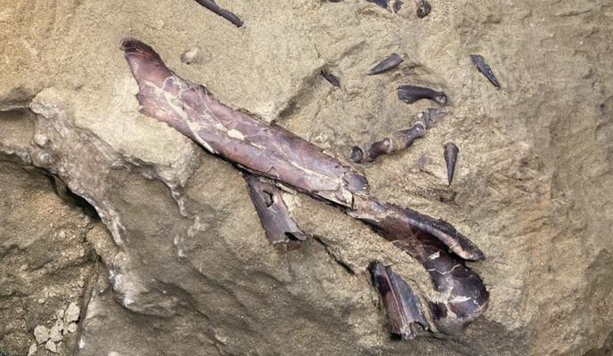 Bitrix 138367: photo1692026047.jpeg