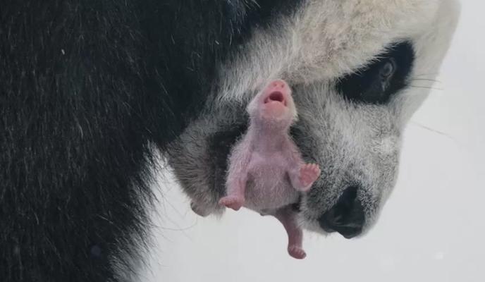 Bitrix 139160: photo1693465154.jpeg