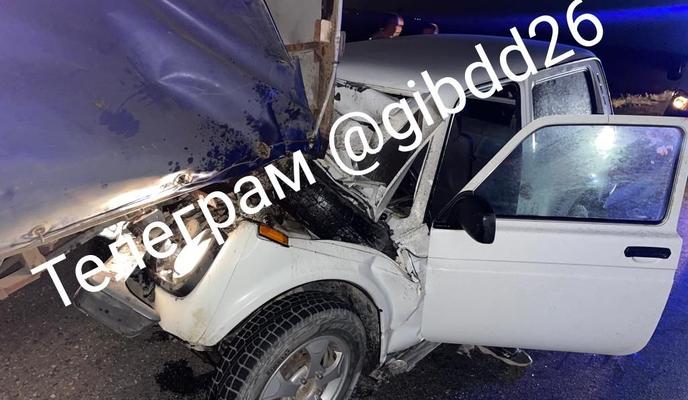 Bitrix 139184: photo1693471090.jpeg