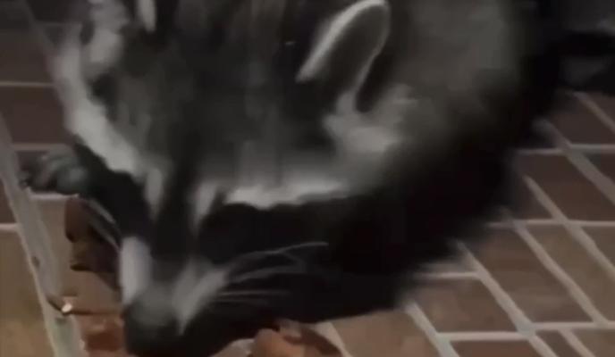 Bitrix 139247: photo1693575410.jpeg