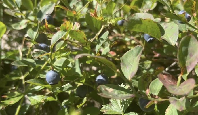 Bitrix 139519: photo1694086951.jpeg