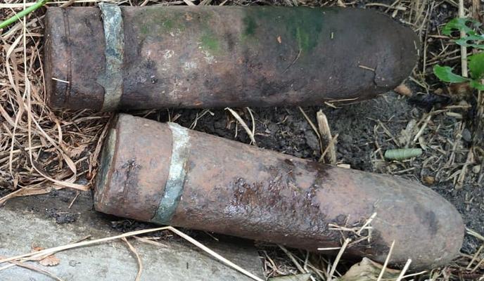 Bitrix 140485: photo1695964871.jpeg