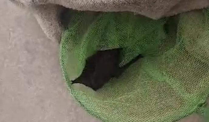 Bitrix 140467: photo1695970096.jpeg