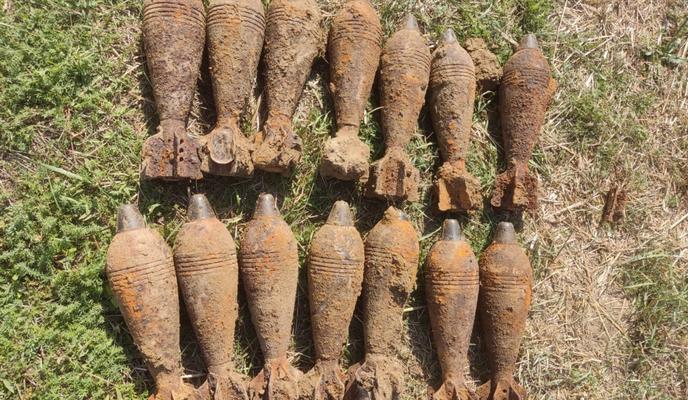 Bitrix 140764: photo1696495363.jpeg