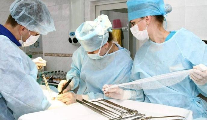 Bitrix 140838: photo1696584666.jpeg