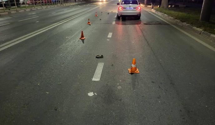 Bitrix 141419: photo1698041644.jpeg