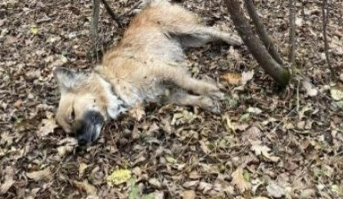 Bitrix 141423: photo1698048512.jpeg