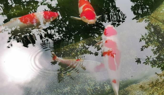 Bitrix 95741: photo_2021_05_06_10_44_59.jpg