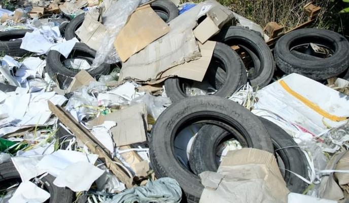 Bitrix 118903: photo_2022_01_24_14_21_31.jpg