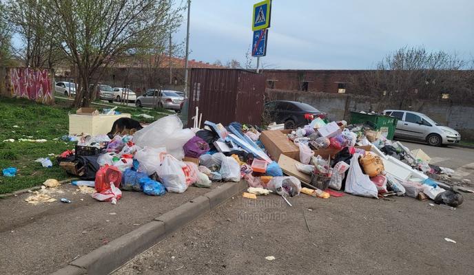 Bitrix 117500: photo_2022_05_05_14_19_09.jpg