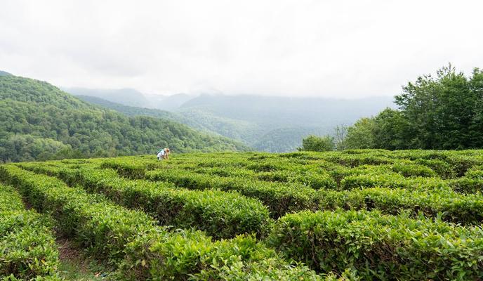 Bitrix 131511: photo_2022_06_10_09_42_55.jpg