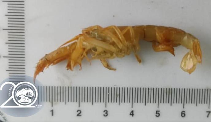 Bitrix 121187: photo_2022_07_26_03_26_17.jpg