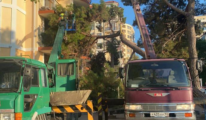 Bitrix 121712: photo_2022_08_06_23_28_30.jpg