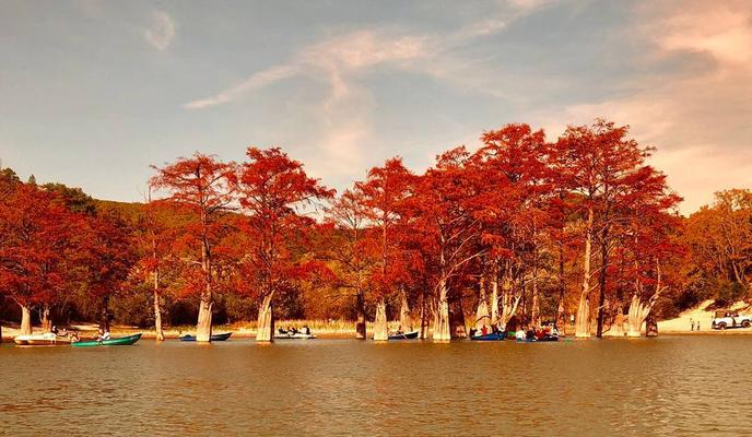 Bitrix 126375: photo_2022_11_24_13_16_58.jpg