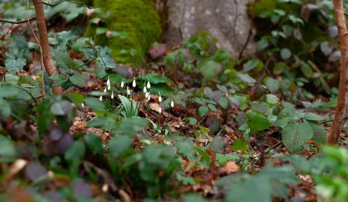 Bitrix 128175: photo_2023_01_04_09_57_59-_2_.jpg