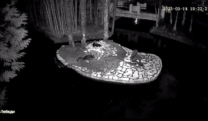 Bitrix 131391: photo_2023_03_25_17_14_07.jpg