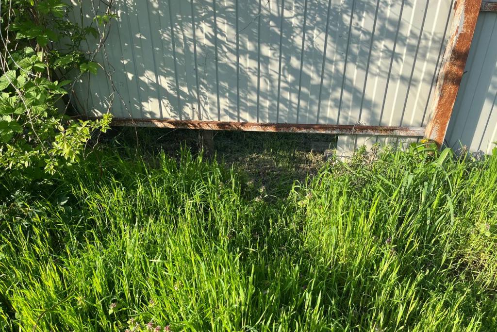 Bitrix 132515: photo_2023_04_18_16_50_08.jpg