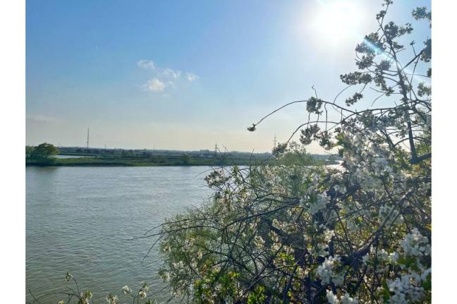 Bitrix 132534: photo_2023_04_19_10_29_53.jpg