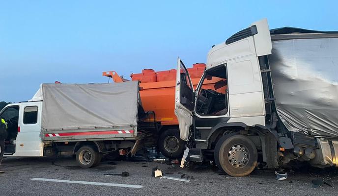 Bitrix 135081: photo_2023_06_09_10_01_35.jpg