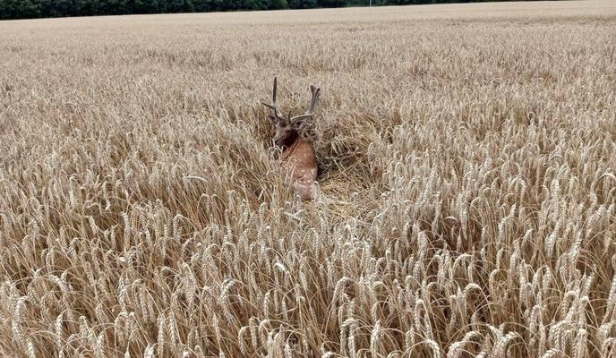 Bitrix 137028: photo_2023_07_19_16_29_08.jpg