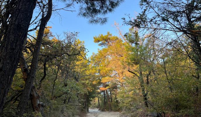 Bitrix 140465: photo_2023_09_23_19_12_23.jpg