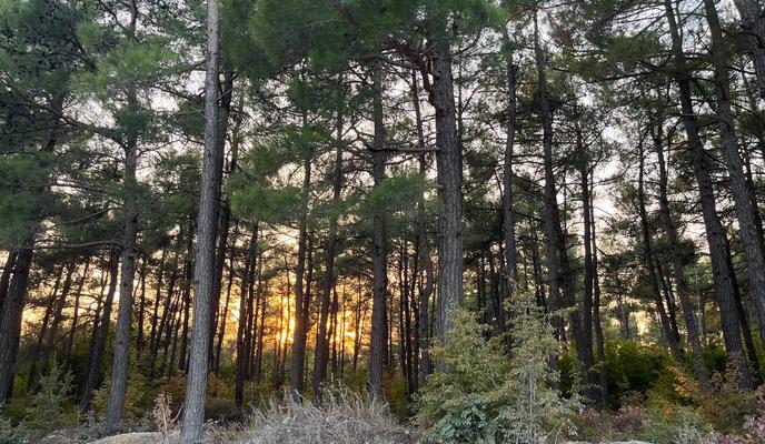 Bitrix 141475: photo_2023_09_23_19_12_22.jpg