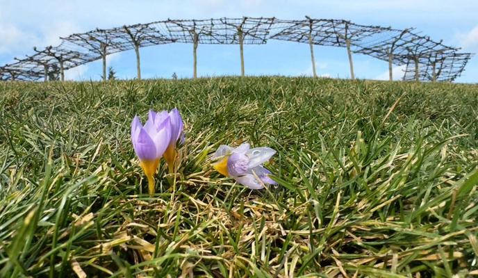 Bitrix 145900: photo_2024_02_03_17_25_16.jpg